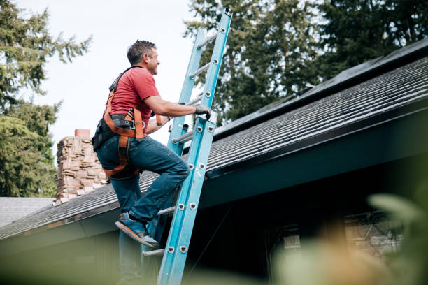 Best Roof Moss and Algae Removal  in Bellaire, OH